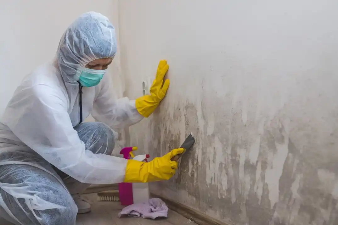 water damage restoration service Longs Creek